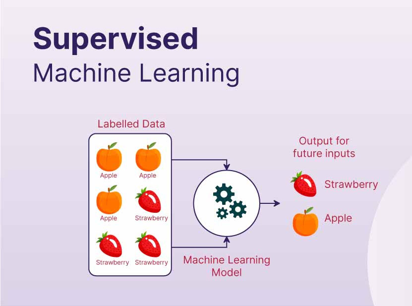 Supervised Learning