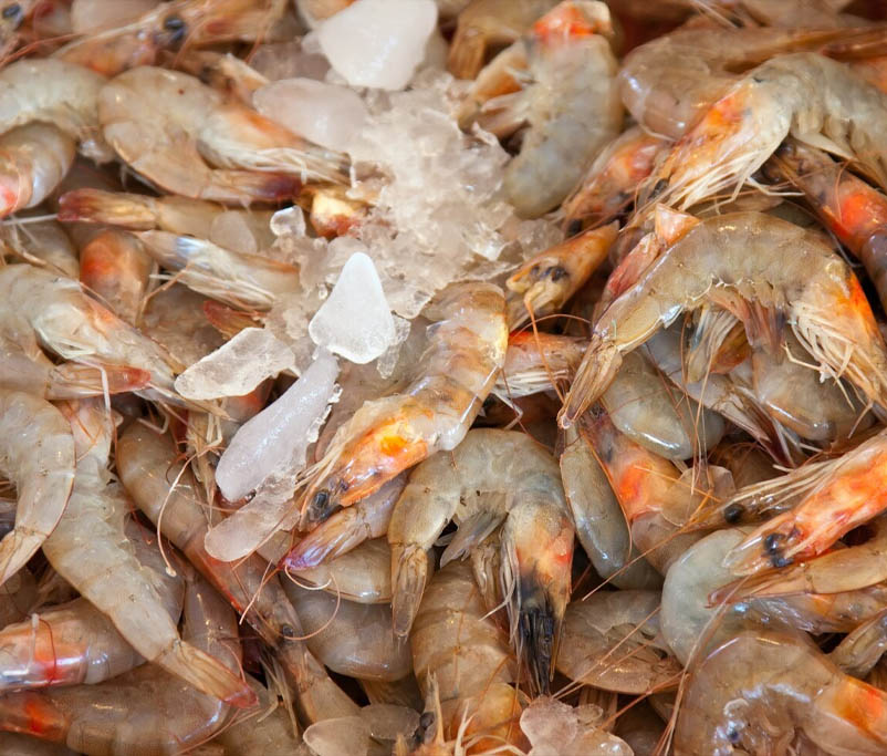 ai-can-contributes-to-sustainable-production-methods-in-shrimp-farming