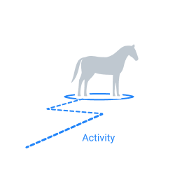 Activity Tracking can help understand behavior patterns in livestock with computer vision