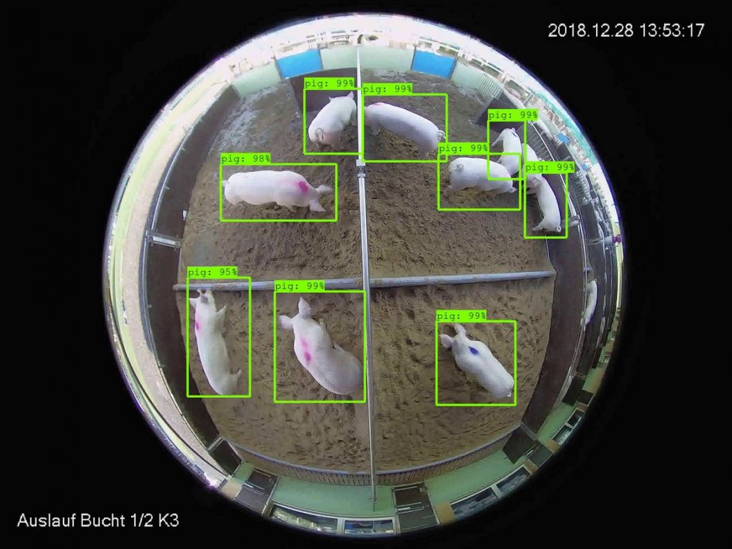 Real-time application in farming for animal monitoring.