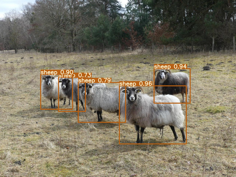 Animal Monitoring with Computer Vision – Case Study