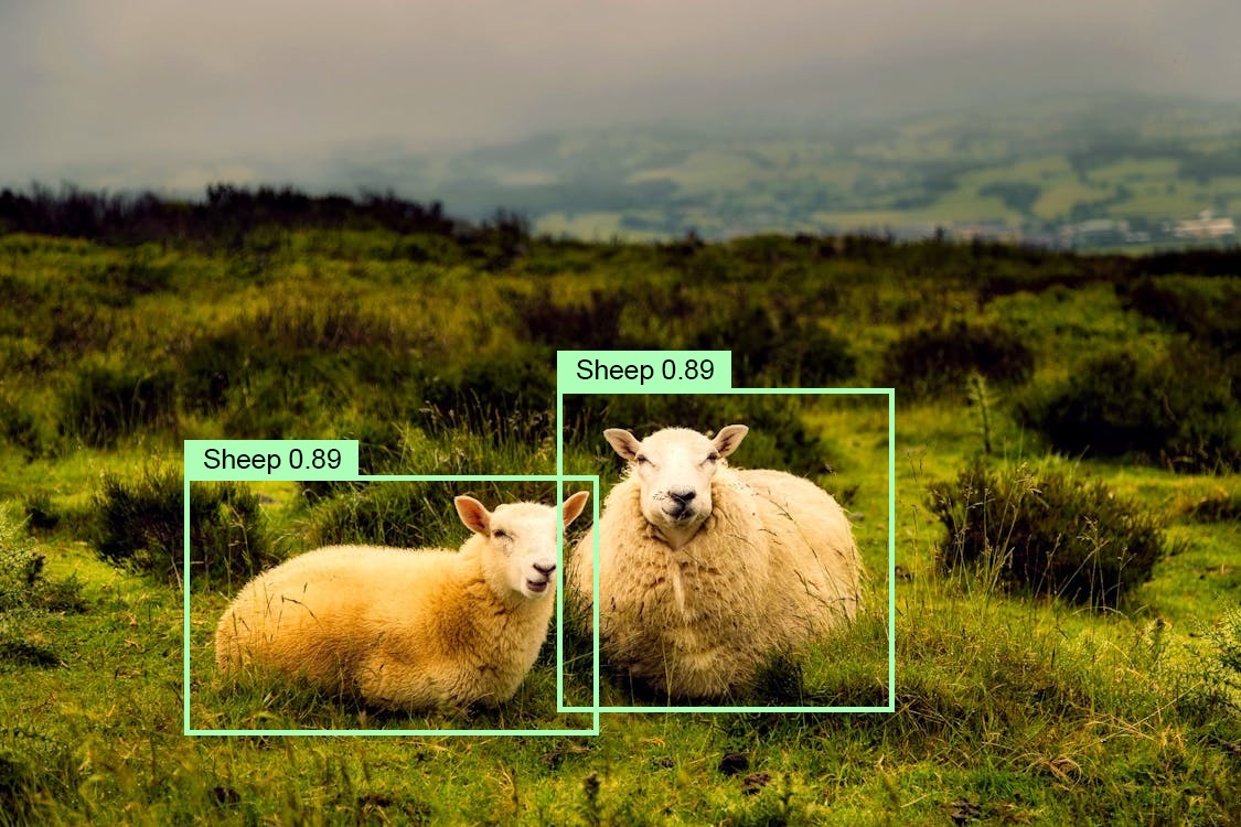 Animal detection: Computer vision to detect sheep with YOLOv7