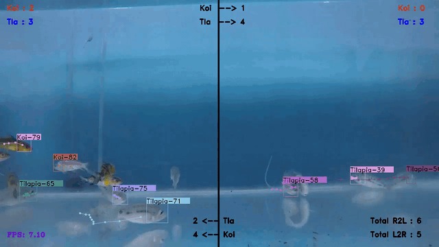 Computer vision applied to fish tracking, detecting, and monitoring within an aquarium.