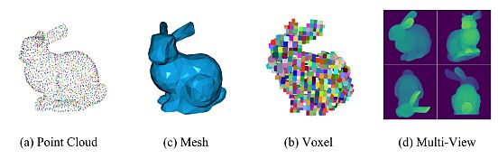 3D Data Representation of a Rabbit 