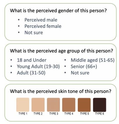 An example of annotation questionnaires and categories for people labeling. 