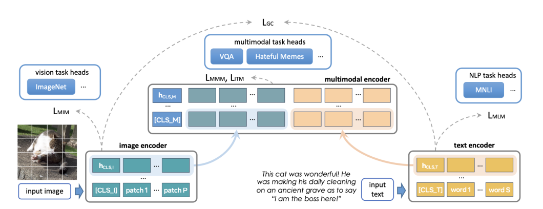 An overview of FLAVA’s architecture. It shows the fusion of image and text inputs for comprehensive multi-task processing. 