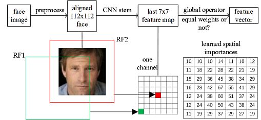 Face feature embedding CNN and the receptive field (RF) 