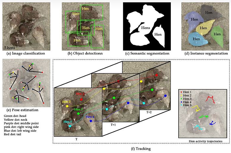 Image Fusion in Agricultural Remote Sensing 