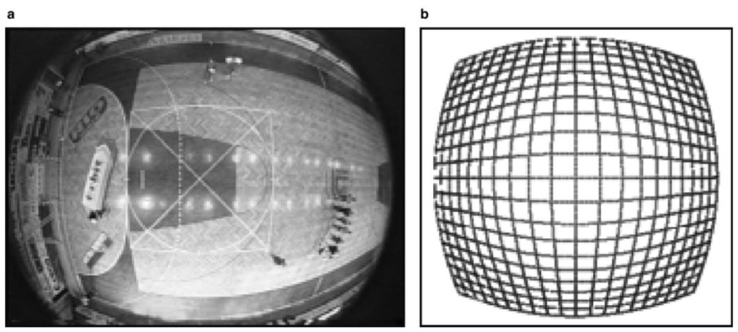 Image illustrating the effects of radial distortion. 