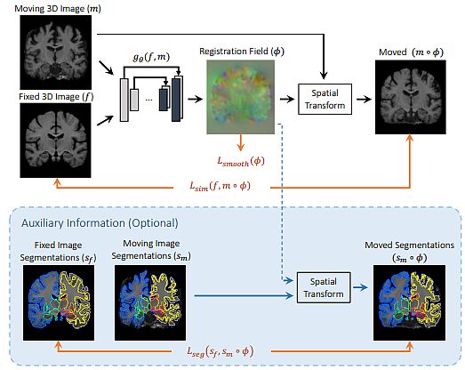 Image Registration with Registration Field and Spatial Transform 