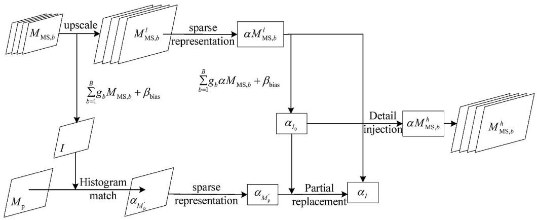 Sparse Representation Model for IF 