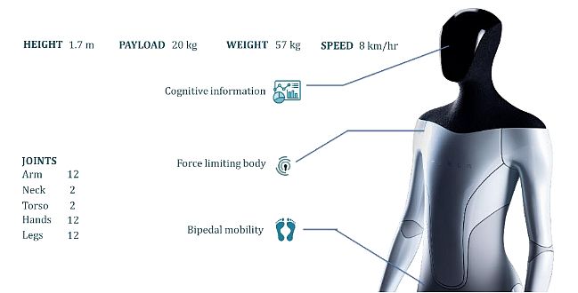 Tesla Bot Specifications 