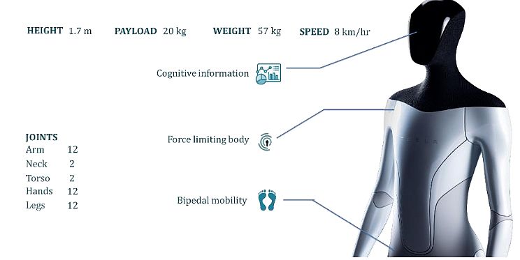 Tesla Optimus Specifications 