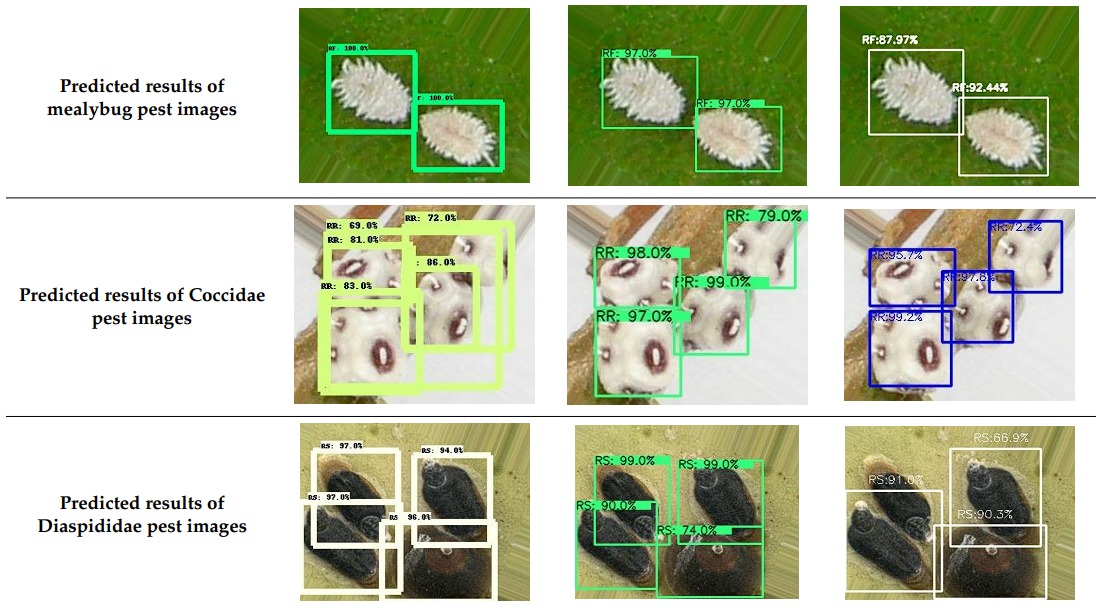 object-detection-agriculture 