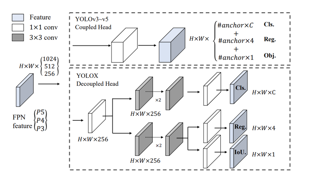 YOLOX decoupled head architecture 