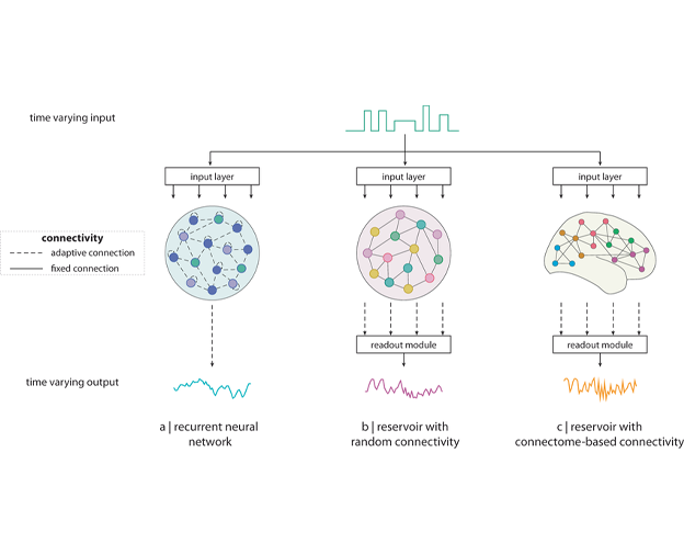 The Evolution of Recurrent Neural Networks